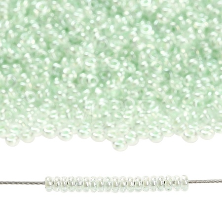 TOHO 11/0 Demi Round Beads X-SEED-DR11-1065-1