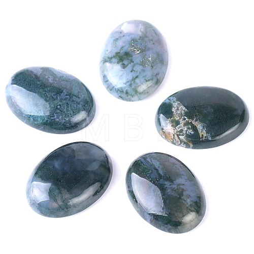 Natural Indian Agate Cabochons PW-WG8E62B-04-1