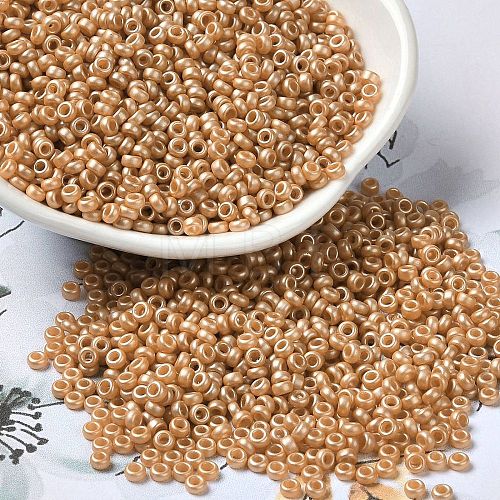 Baking Paint Glass Seed Beads SEED-P006-03A-24-1