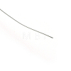 Dead Soft 925 Sterling Silver Wire STER-NH004-A-3