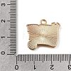 Alloy with Enamel Pendants AL-CBA9E11-03KCG-02-3