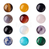 Fashewelry 24Pcs 12 Style Natural & Synthetic Gemstone Cabochons G-FW0001-05-2