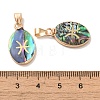 Constellation Natural Paua Shell Pendants KK-P265-01G-06-3