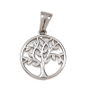 303 Stainless Steel Pendants STAS-K325-16P-1
