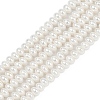 Electroplated Shell Pearl Beads Strands BSHE-Z009-11-2