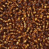 8/0 Glass Seed Beads X1-SEED-A005-3mm-22C-2