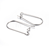 304 Stainless Steel Hoop Earring Findings STAS-P223-01P-05-2