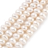 Natural Cultured Freshwater Pearl Beads Strands PEAR-C003-12H-1