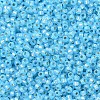 MIYUKI Round Rocailles Beads SEED-G007-RR0647-3