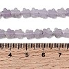 Natural Lepidolite/Purple Mica Stone Beads Strands G-B138-C18-01-5