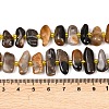Natural Grey Opal Beads Strands G-K393-B07-5