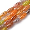 Handmade Lampwork Beads X-LAMP-B051-02B-1