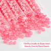  760Pcs Grade A Glass Seed Beads SEED-NB0001-83-4
