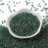 Glass Seed Beads SEED-S042-13A-18-2