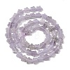 Natural Lepidolite/Purple Mica Stone Beads Strands G-B138-C18-01-3