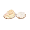 Shell Pendants SHEL-P075-03-3