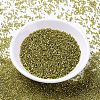 MIYUKI Delica Beads SEED-MY11-DB2164-2