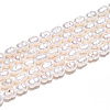 Natural Cultured Freshwater Pearl Beads Strands PEAR-N012-04L-01-5