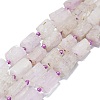 Natural Kunzite Beads Strands G-O170-118-1