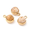 Natural Picture Jasper Charms G-K325-01G-06-1
