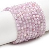 Natural Kunzite Beads Strands G-G343-B04-3mm-2