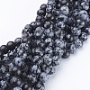Natural Snowflake Obsidian Beads Strands GSR009-1