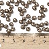 6/0 Glass Seed Beads X1-SEED-L011-08A-09-4