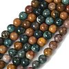 Natural Ocean Jasper Beads Strands X-G-F668-26-6mm-5