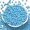 Baking Paint Pearlized Glass Seed Beads SEED-C001-04A-08-2