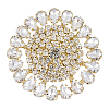 Brass Rhinestone Applique DIY-FG0009-88A-1
