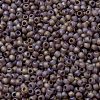TOHO Round Seed Beads SEED-JPTR11-0166BF-2