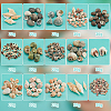   300G 15 Styles Natural Mixed Shell Beads SSHEL-PH0001-24-4