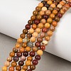 Round Natural Mookaite Beads Strands G-F216-4mm-19-1