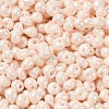 6/0 Glass Seed Beads SEED-M012-01A-09-3