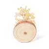 Natural Yellow Quartz Chips with Brass Wrapped Wire Money Tree on Wood Base Display Decorations DJEW-B007-05F-3