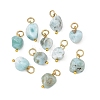 Natural Larimar Pendants PALLOY-JF05952-1