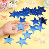 Paper Star Shape Flags FEPA-TAC0001-002-6