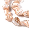 Natural Trochid Shell/Trochus Shell Beads Strands SSHEL-T017-01-3