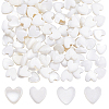 2 Strands Natural Freshwater Shell Beads Strands SHEL-SC0001-85D-1