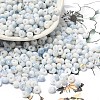 Baking Paint Glass Seed Beads X1-SEED-F006-01A-02-1