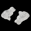 Natural Quartz Crystal Carved Dog Figurines DJEW-L023-A03-2