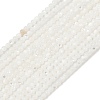 Natural White Shell Beads Strands G-A177-04-25-2