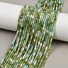 Natural Chrysoprase Beads Strands G-M389-22-1