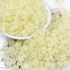 Transparent Colours Glass Seed Beads X1-SEED-P008-01B-10-1