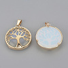 Opalite Pendants G-S292-10N-G-2