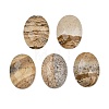 Natural Picture Jasper Cabochons G-Q186-01E-1