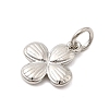 Brass Charms KK-C139-31F-P-2