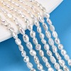 Natural Cultured Freshwater Pearl Beads Strands X-PEAR-N014-03F-1