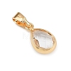 Glass Charms PALLOY-JF04360-4