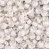 FGB Inside Colours Transparent Glass Seed Beads SEED-T009-01K-2